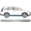 Sill repair panel