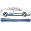 Full sill repair panel