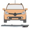 Grille trim