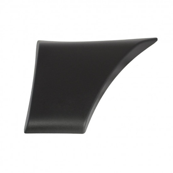 Rear wing side trim for R Master 2010- / Left 7218