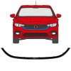 Radiator grille frame