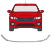 Radiator grille frame